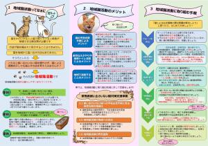 地域猫活動のすすめ（チラシ）画像2