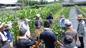 先生からナス管理を教わる様子の写真