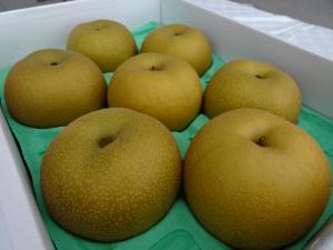 昨年上位入賞したなしの写真