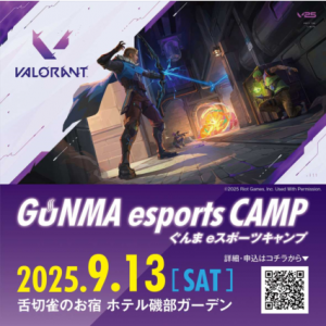 ぐんまeスポーツキャンプ画像