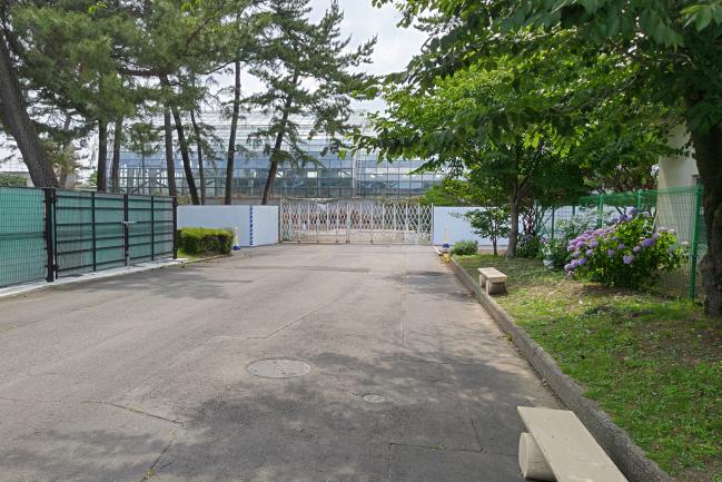 水泳場東側園路から水泳場外観の画像
