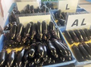 収穫後のナスの写真