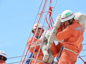 応急はしご救出の写真