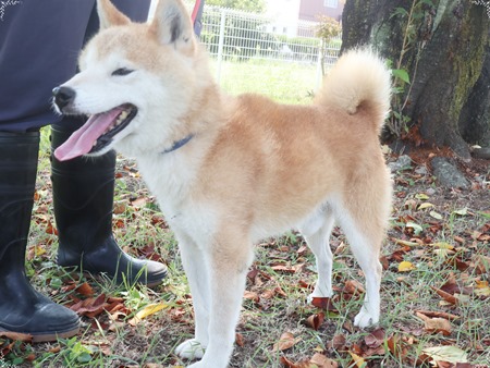 福禄寿のからだ1画像