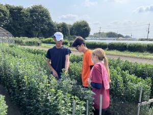 作業風景の画像