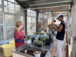 作業の様子画像