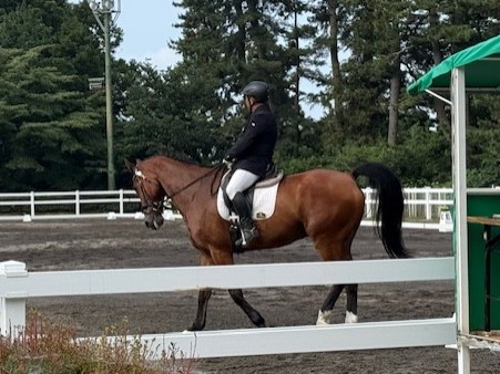 馬術の競技時の写真