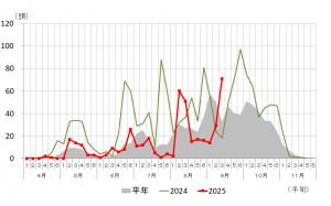 オオタバコガの誘殺数の推移の画像　（伊勢崎市）