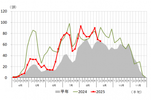 オオタバコガの誘殺数の推移の画像　（藤岡市）