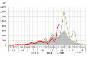 シロイチモジヨトウの誘殺数の推移の画像　（太田市）