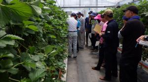 育苗を学ぶ様子写真