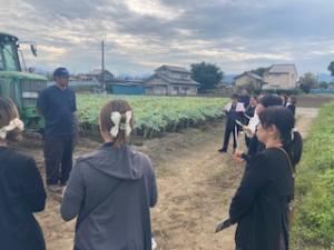 こんにゃく農場見学の写真