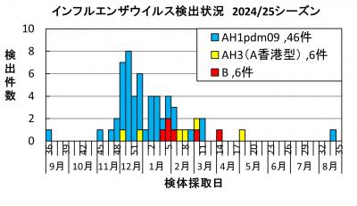 インフルエンザ　ウイルス検出状況2024/25シーズン画像