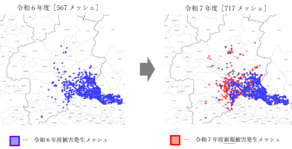 被害状況の比較の画像
