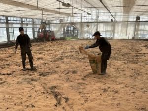 土壌消毒の写真2