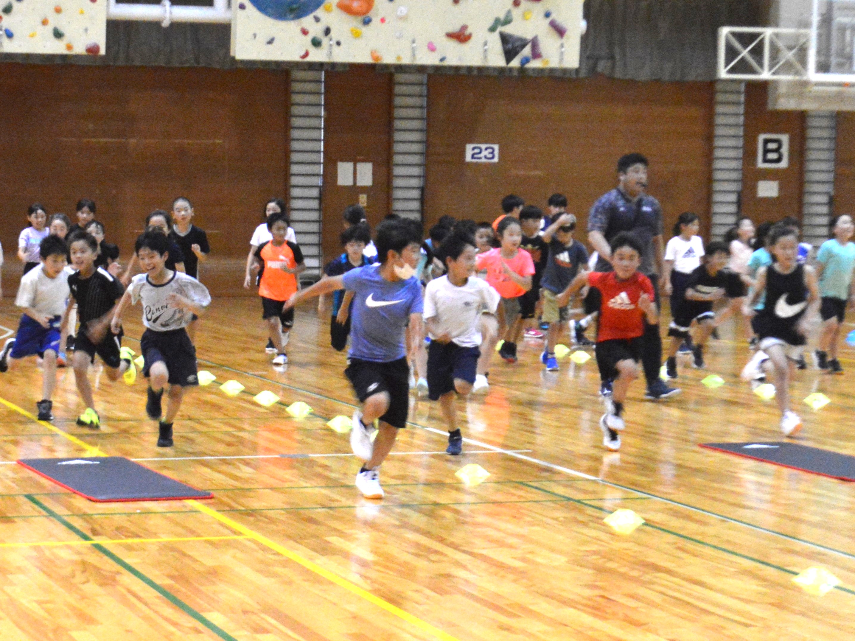 ジュニアの発掘・育成