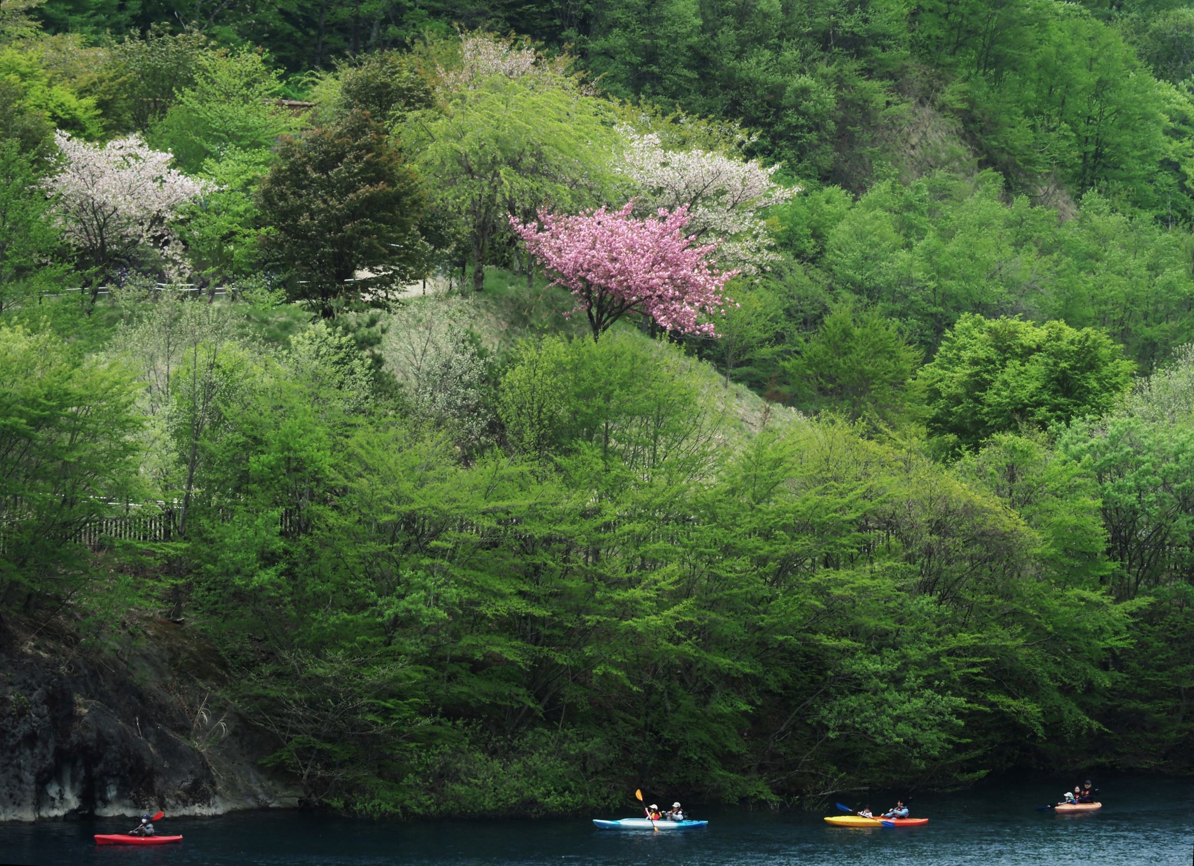 第55回（令和4年度）四万温泉協会長賞の作品写真