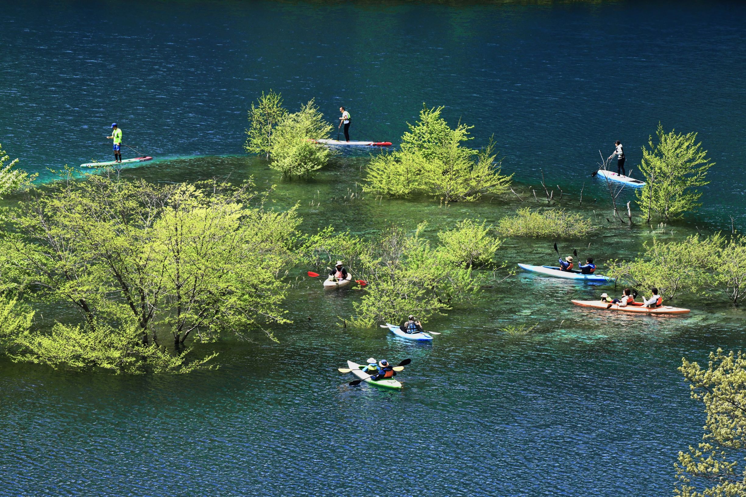 第56回（令和5年度）吾妻観光連盟会長賞の作品写真