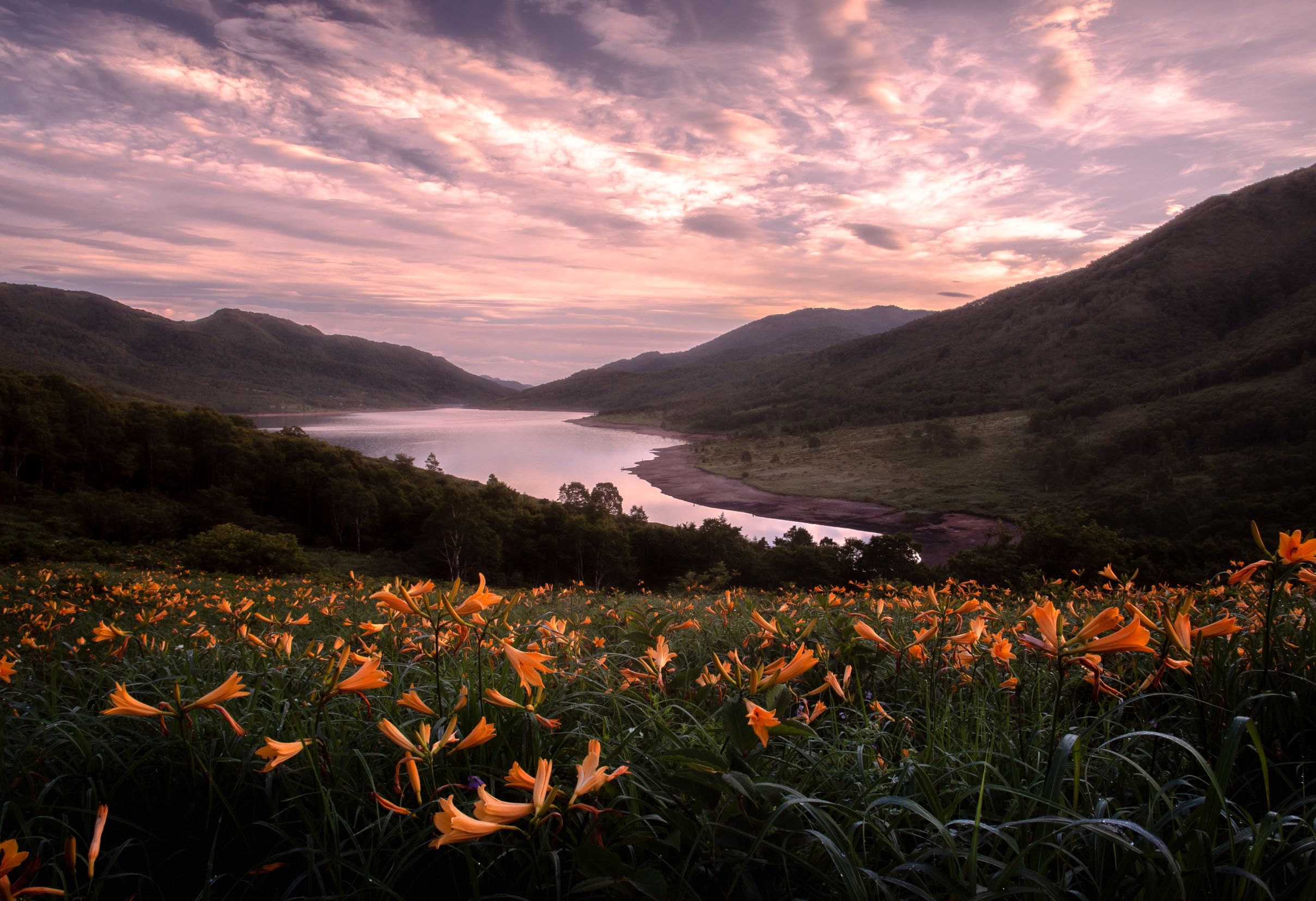第56回（令和5年度）中之条町観光協会長賞の作品写真