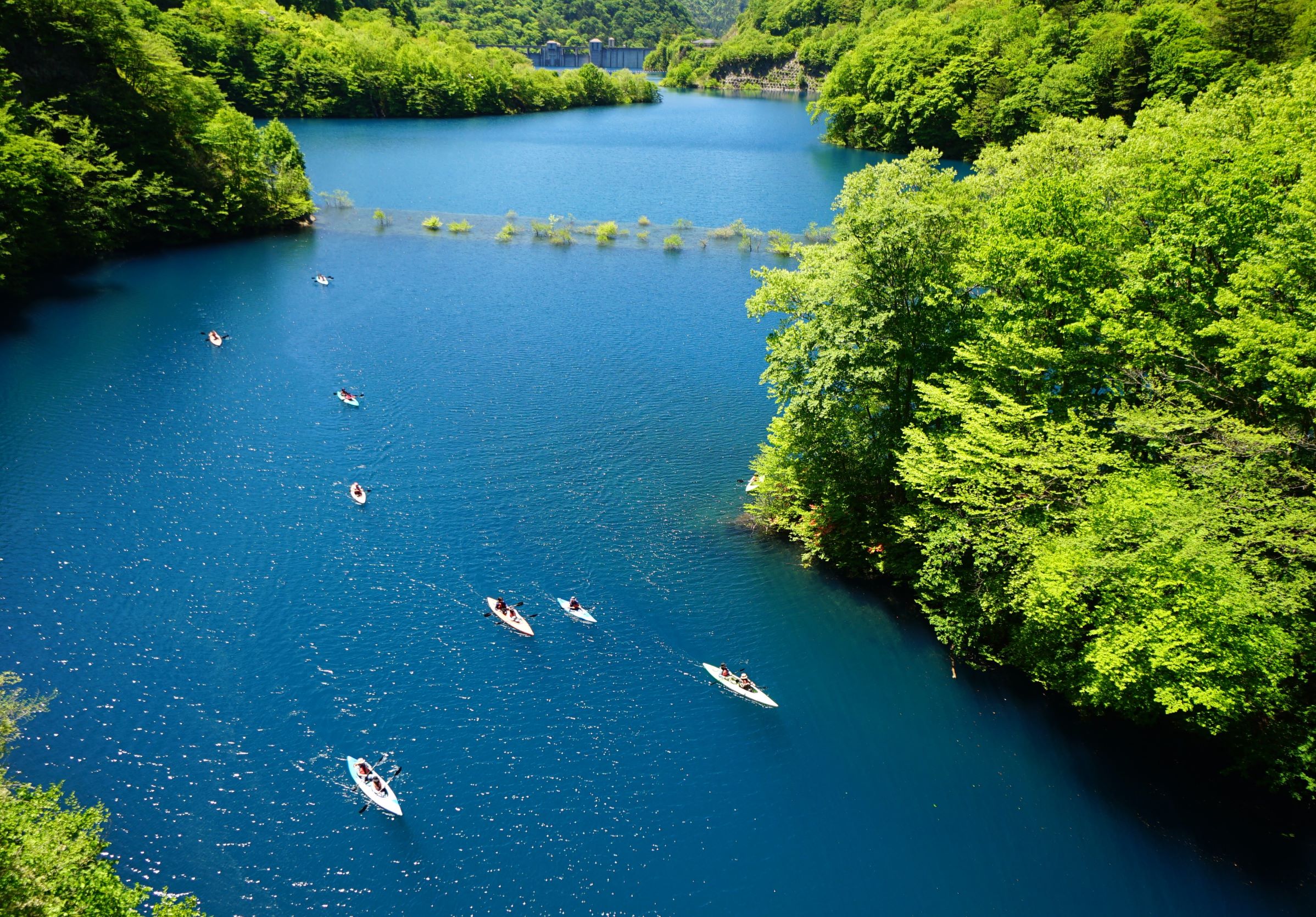 第57回（令和6年度）四万温泉協会長賞の作品写真