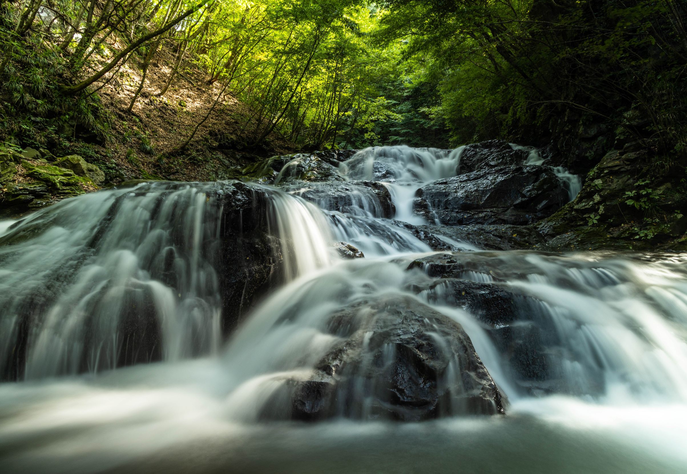 第55回（令和4年度）北軽井沢観光協会長賞の作品写真
