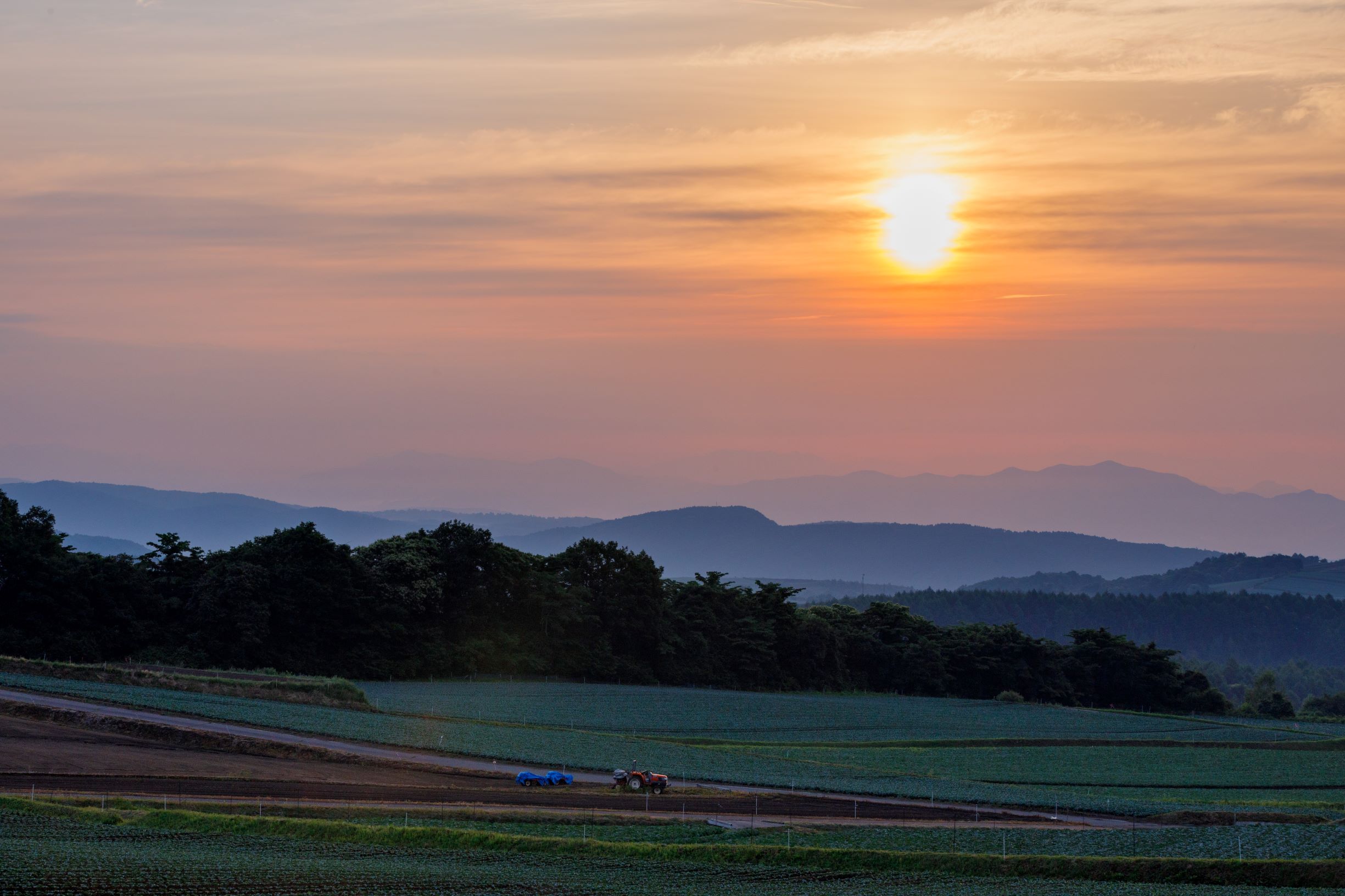 第55回（令和4年度）嬬恋村長賞の作品写真