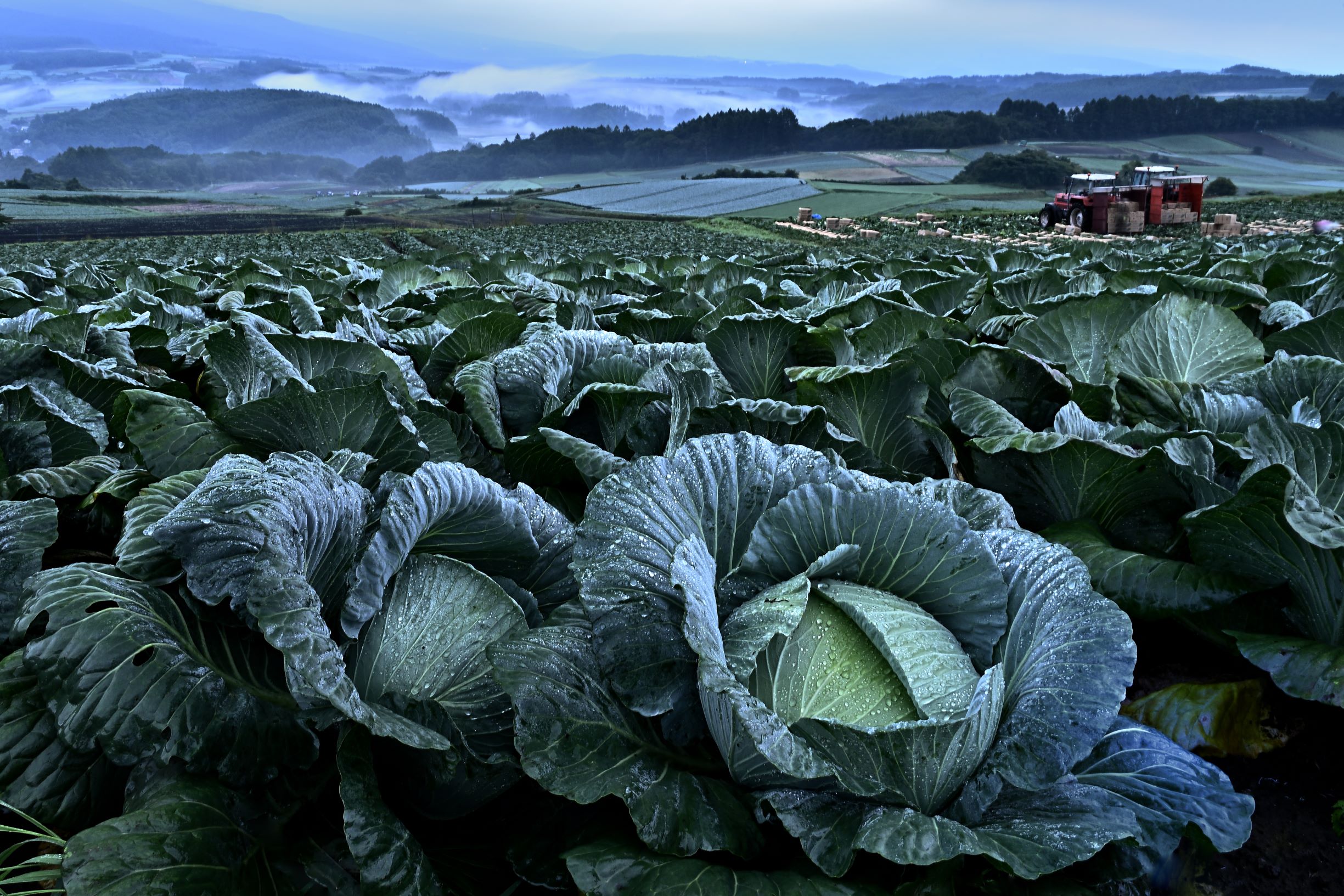 第56回（令和5年度）知事賞の作品写真