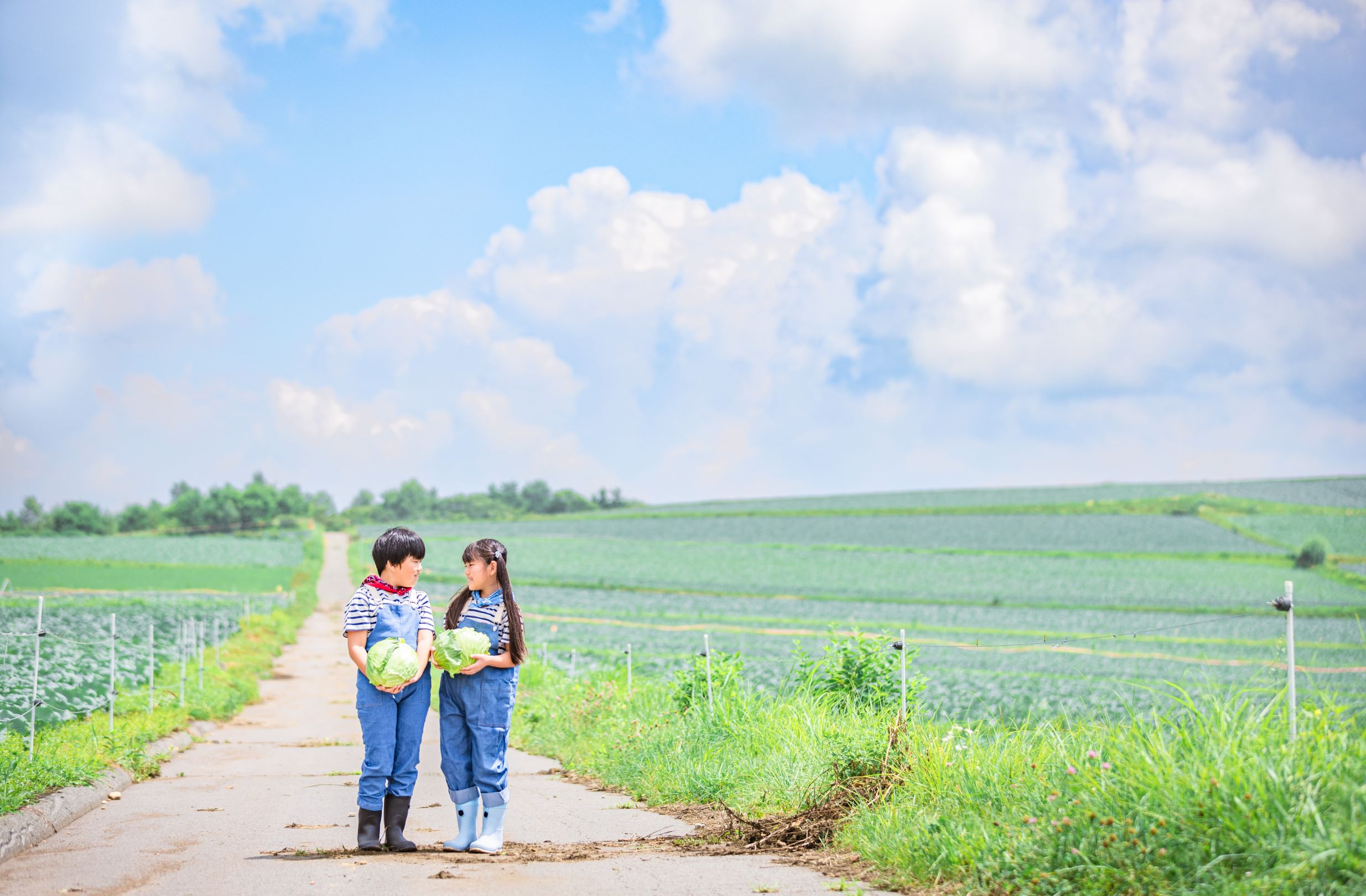 第57回（令和6年度）嬬恋村観光協会長賞の作品写真