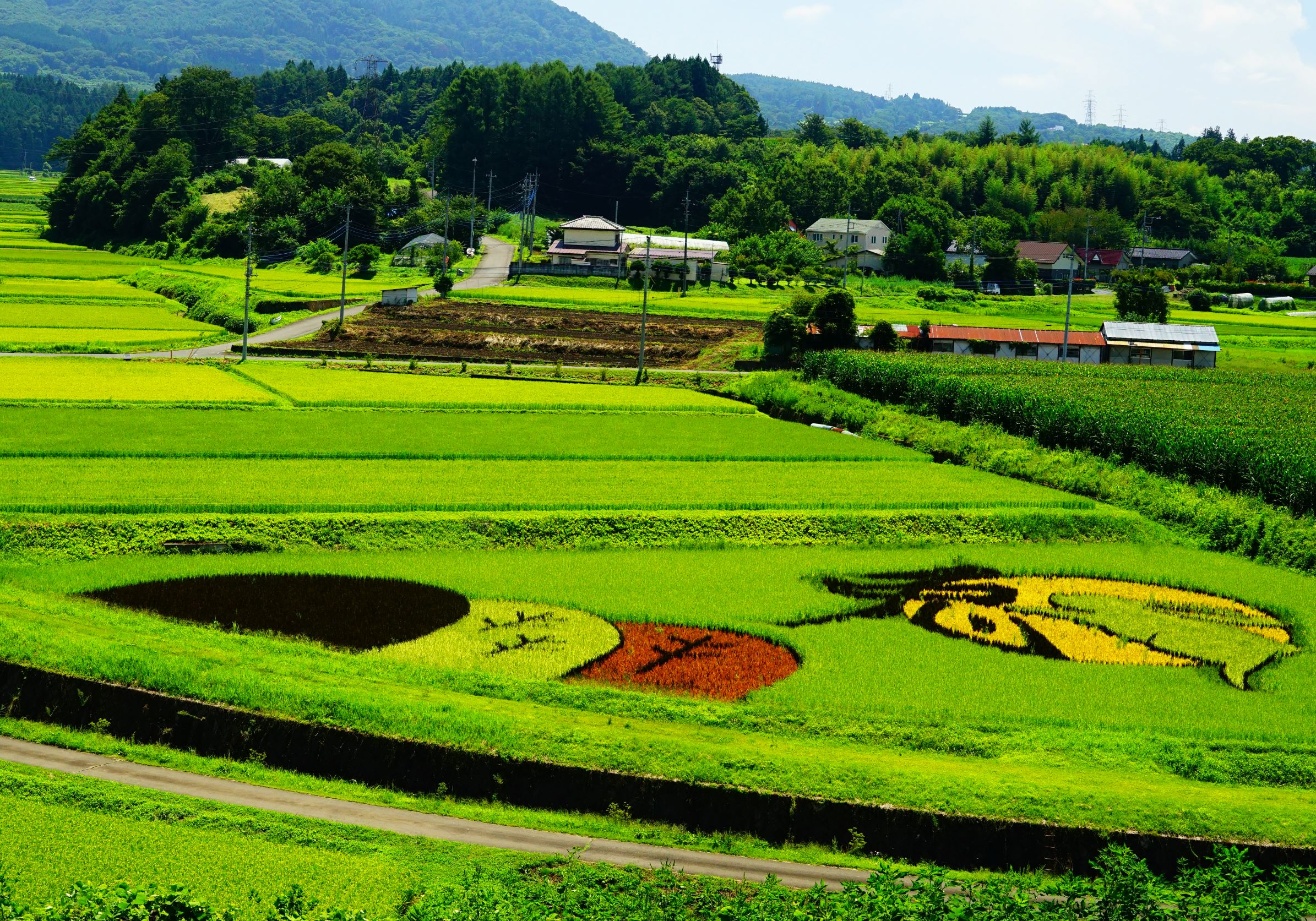 第56回（令和5年度）高山村長賞の作品写真
