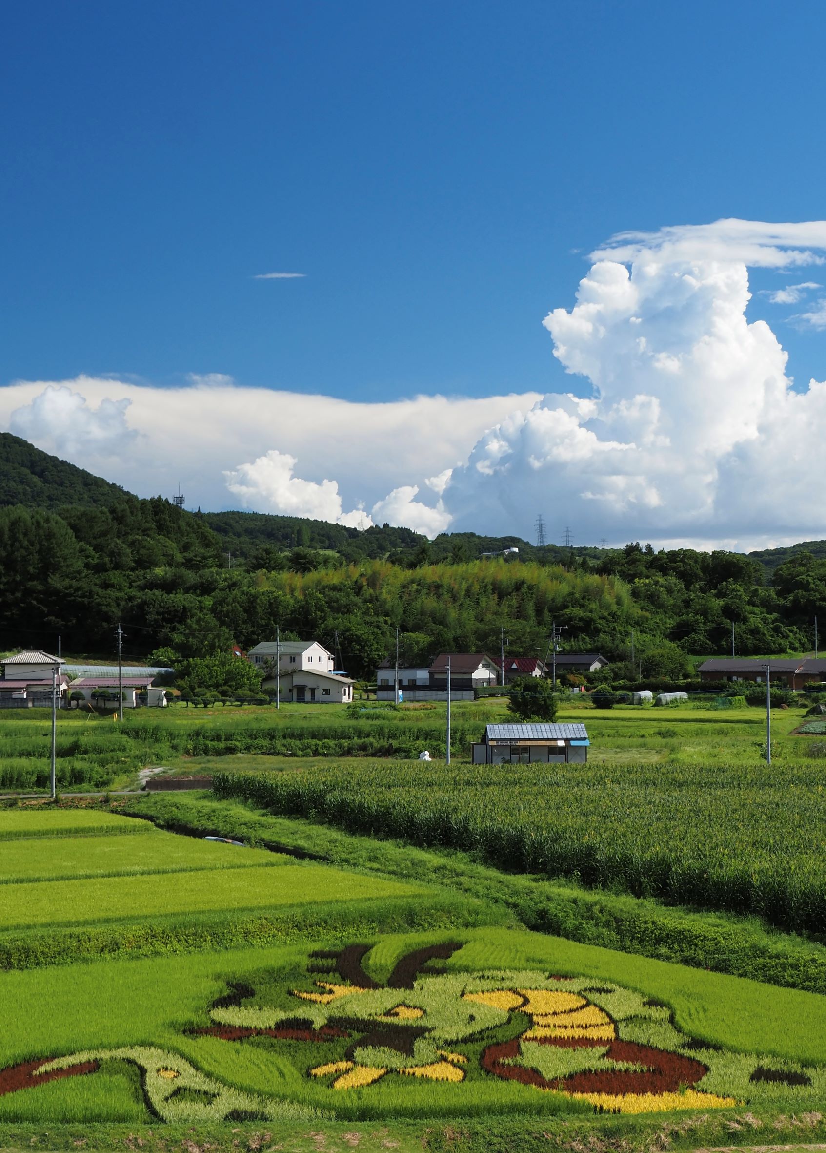 第57回（令和6年度）高山村長賞の作品写真