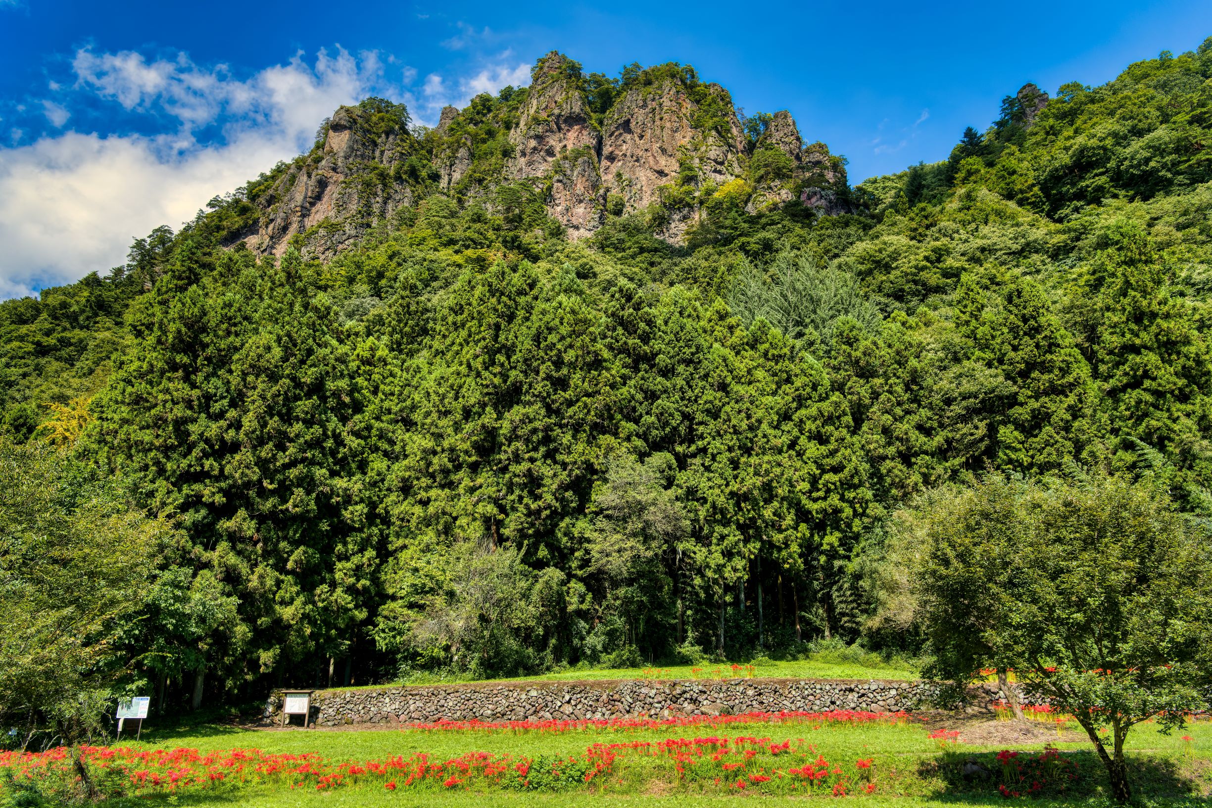第55回（令和4年度）東吾妻町長賞の作品写真