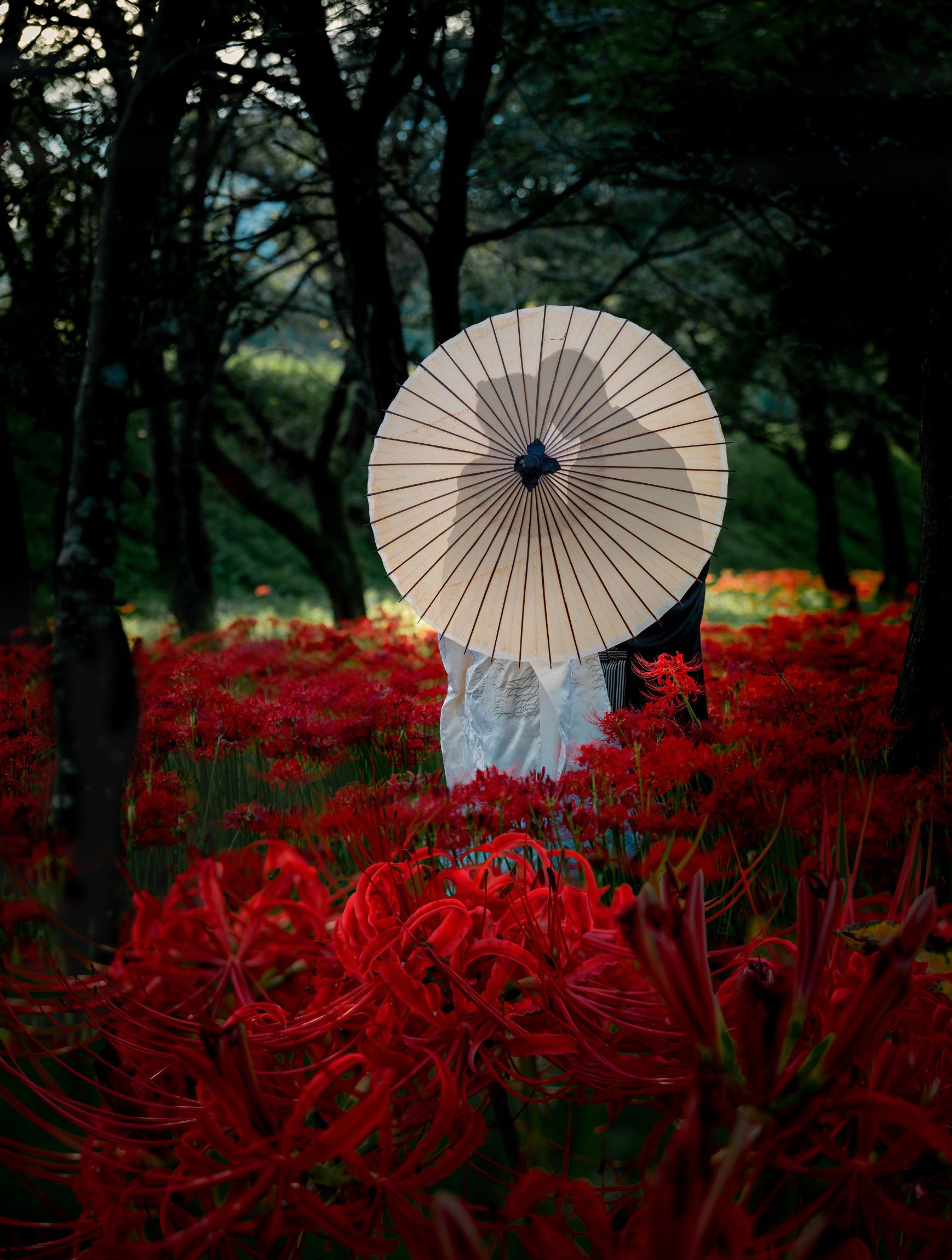 第57回（令和6年度）東吾妻町長賞の作品写真