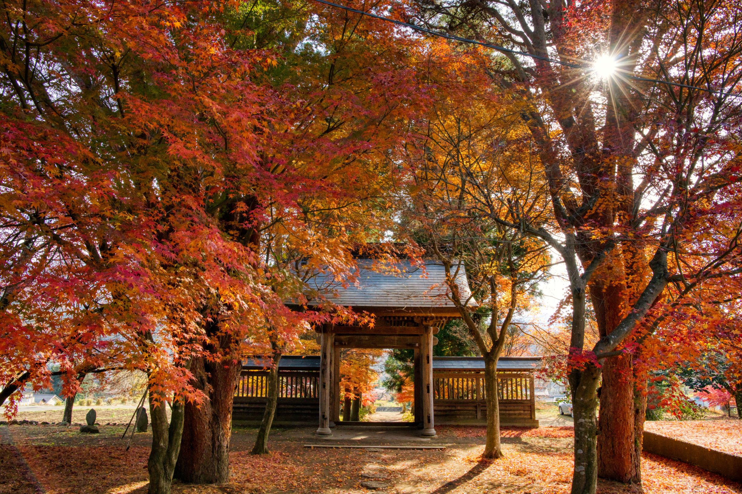 第55回（令和4年度）高山村長賞　泉龍寺の紅葉（高山村・泉龍寺）の写真