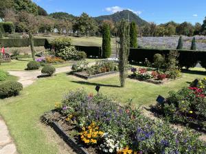 中之条ガーデンズ１の写真