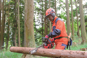 森林コースの写真1