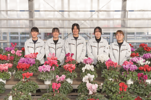 花き集合の画像