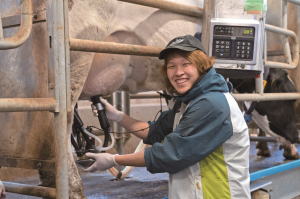 酪農肉牛コースの写真