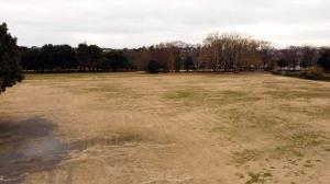 ゆめひろばの画像