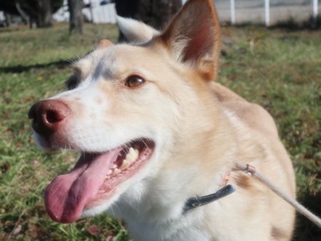 ピノワからだ写真3