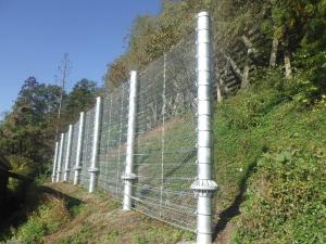 小日向1地区の写真