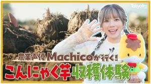 『農業声優Machikoが行く！こんにゃく芋収穫体験』動画サムネイル画像