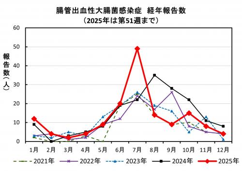 腸管出血性大腸菌感染症　経年報告数画像