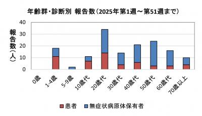 腸管出血性大腸菌感染症　年齢群別　診断別報告数画像
