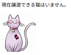 「現在譲渡できる猫はいません」画像