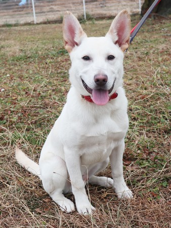 ニーロからだ画像2