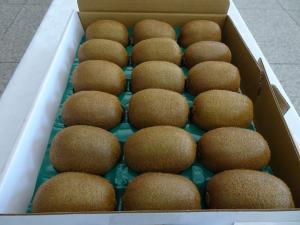 昨年度の群馬県知事賞受賞品の写真