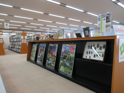 ぐんま昆虫の森の展示の写真