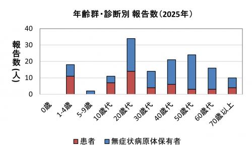 年齢別・診断別（2025年）報告数グラフ画像