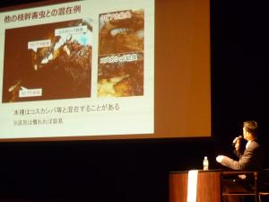 クビアカツヤカミキリ対策研修会の写真