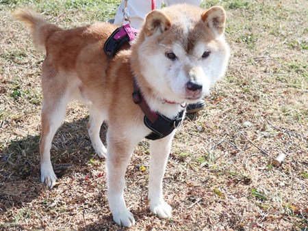 にっきぃのからだ写真